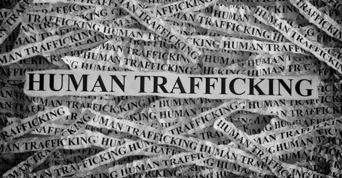 human trafficking plan