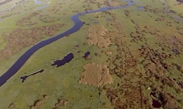 kissimmee river Aerial shot of Kissimmee River